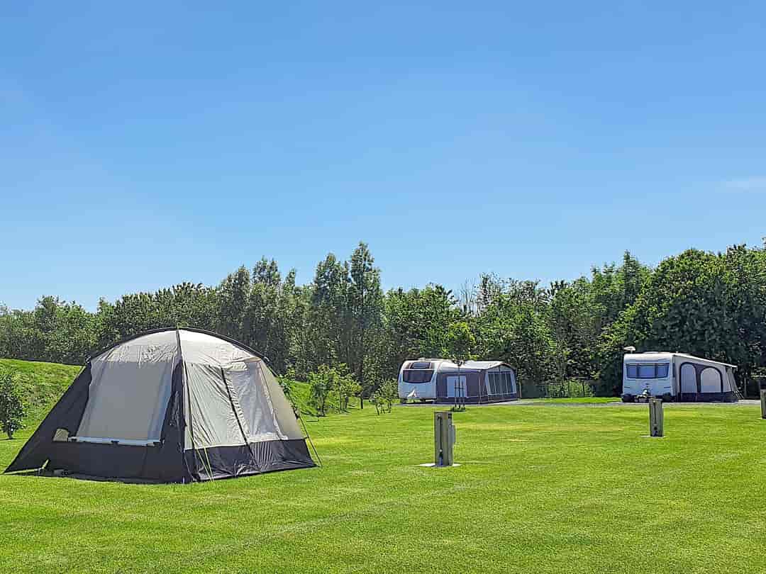 Bryn Goleu Caravan and Camping Site: Grass and hardstanding pitches