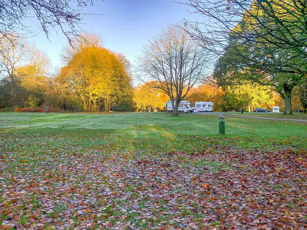 Postern Hill Campsite: Grass pitches with electric hook-up