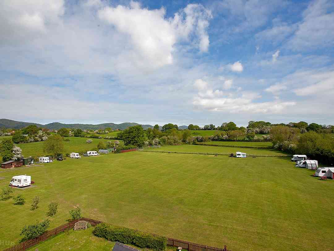 The Turbles (photo ajoutée par le gestionnaire le 31 oct. 2023)