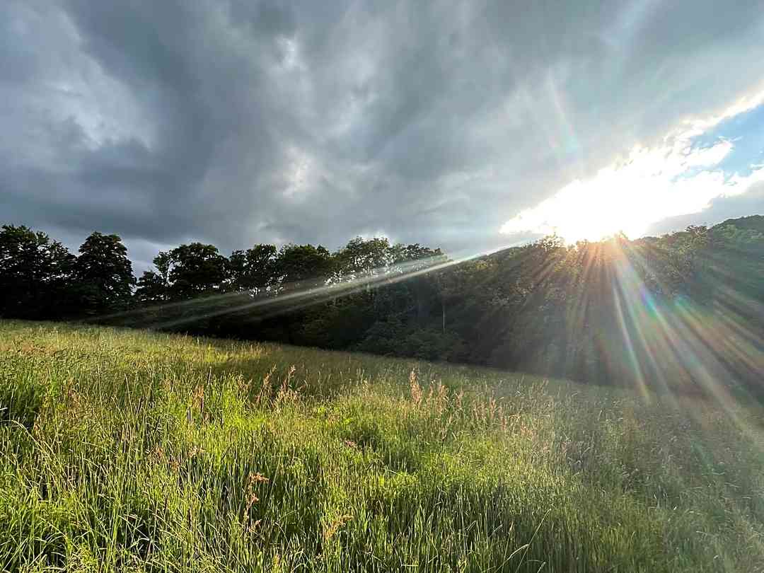 Lickham Bottom Camping （经理于2025年2月24日添加的照片）