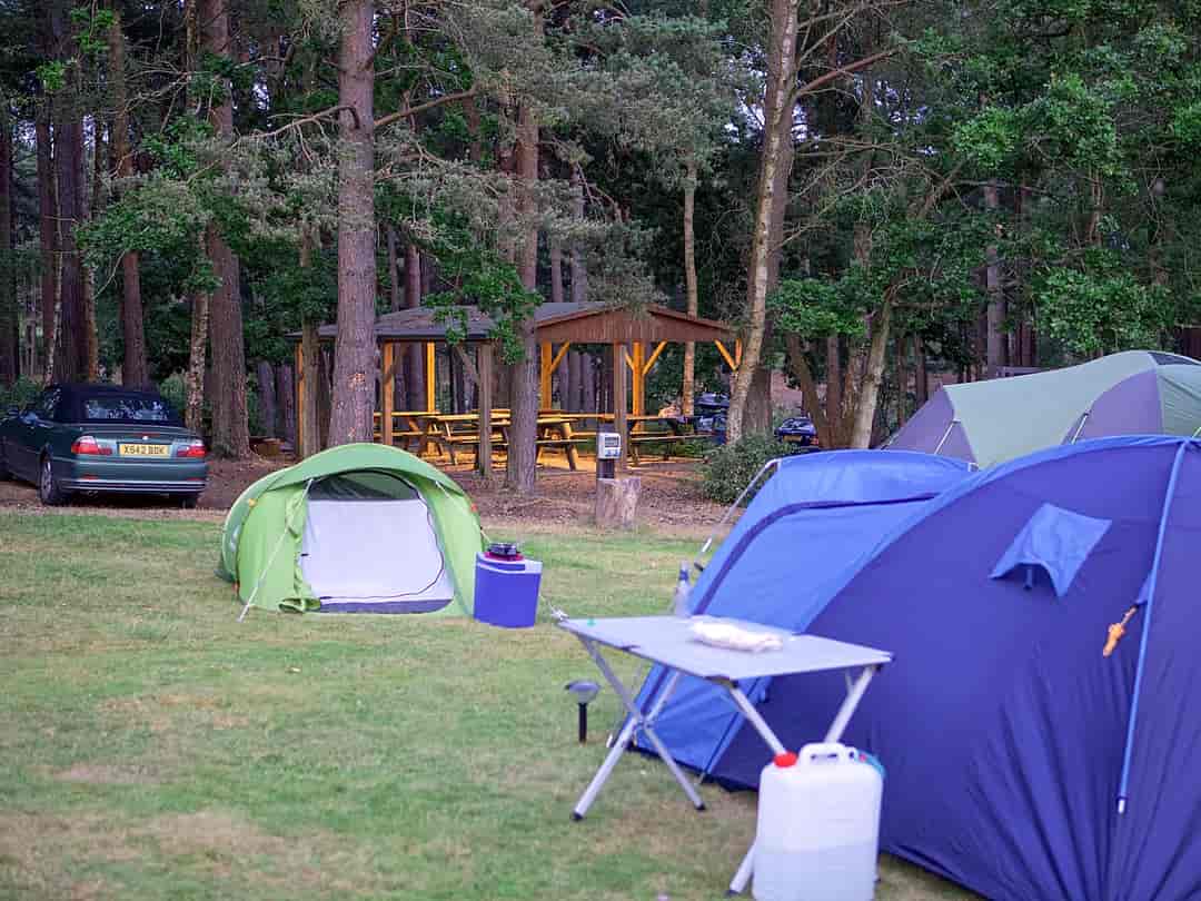 Avon Tyrrell Outdoor Activity Centre: Woodland campground