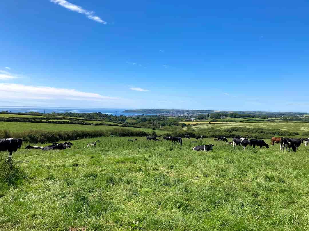 Garris Farm  Caravan and Camping: Looking across the fields to Penzance