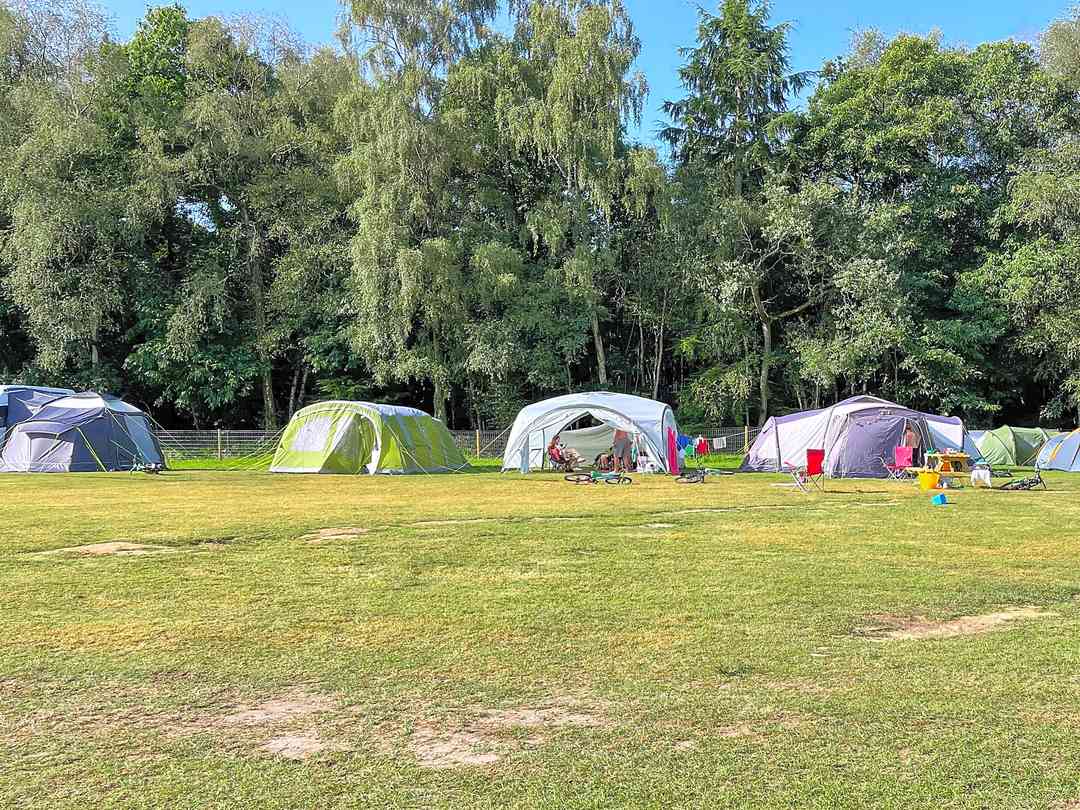 Postwood Gardens Touring Campsite and Country Cabins (经理于2022年8月8日添加的照片) Postwood Gardens Touring Campsite and Country Cabins (经理于2022年8月8日添加的照片)