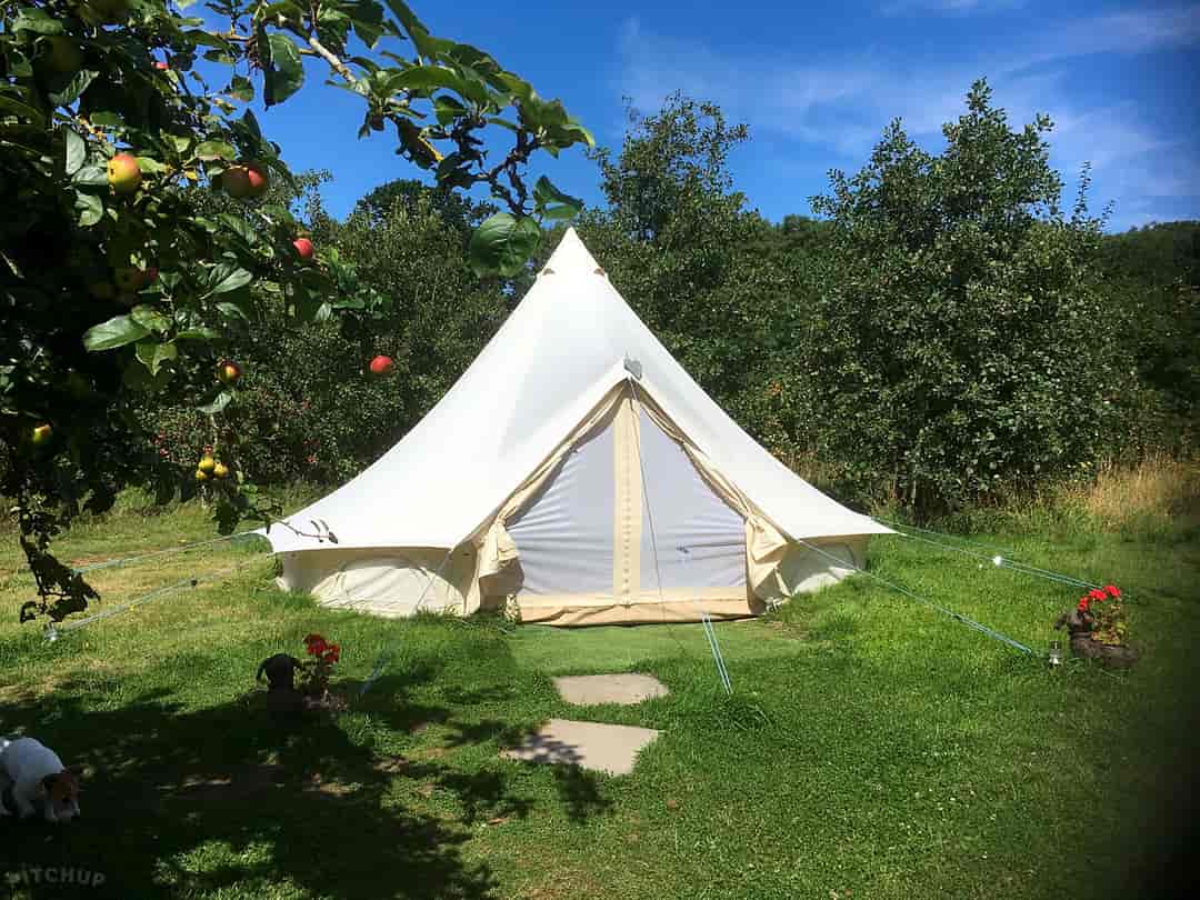 The Apple Farm: Bell tent (photo added by manager on 13/06/2022)