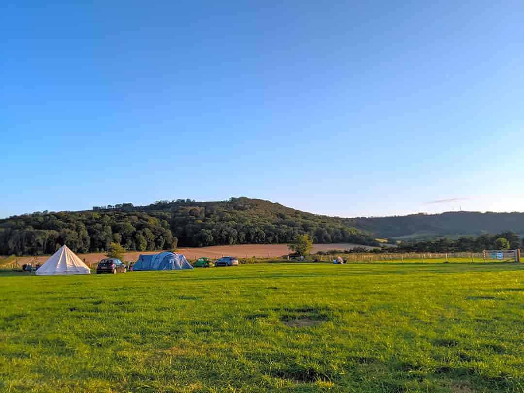Bignor Farms Camping at Bignor Roman Villa: Campsite in the evening (photo added by  on 14/08/2021)