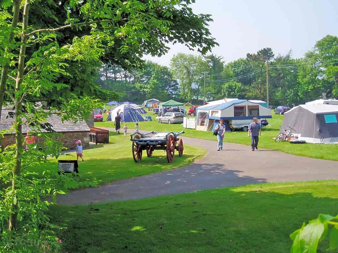 Trewan Hall Camping Site: Non electric pitches