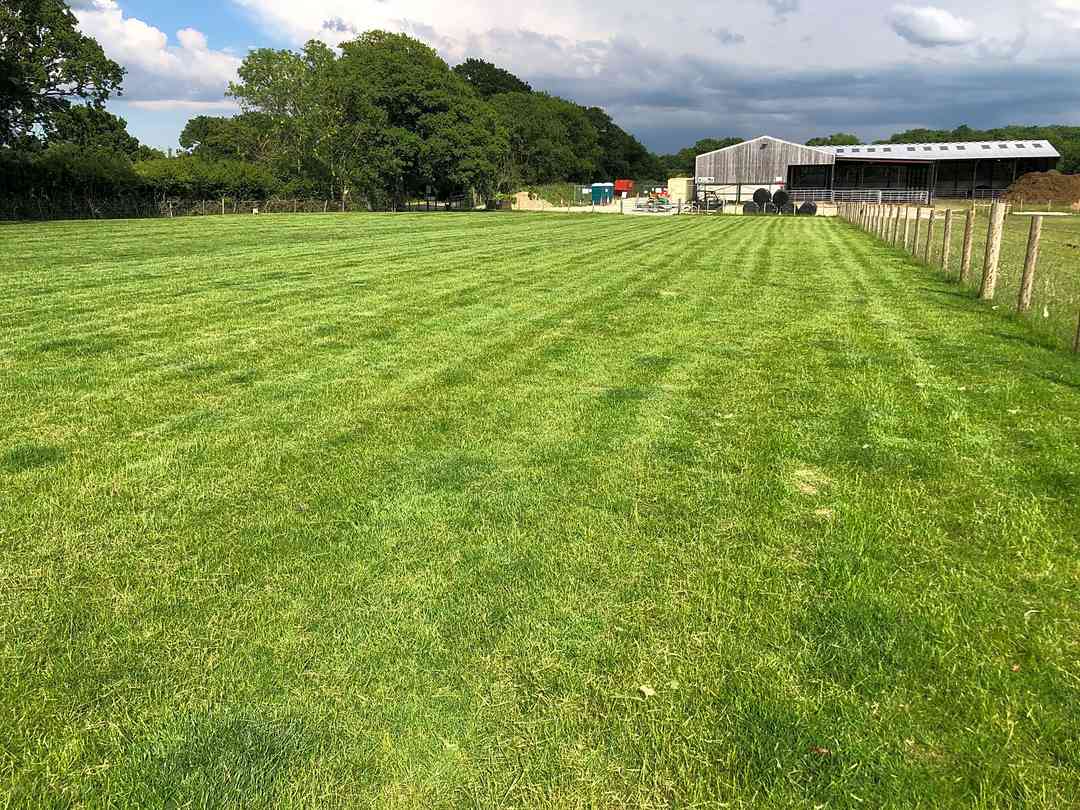 Kings Oak Farm Maidstone Updated 2020 Prices Pitchup