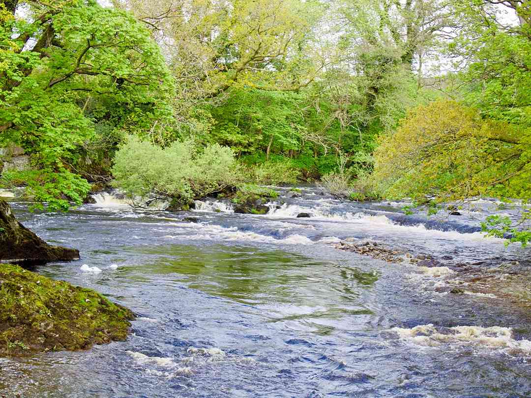 Farm and Fell Campsite: How beautiful (photo added by siobhanmcgrath on 23/05/2021)