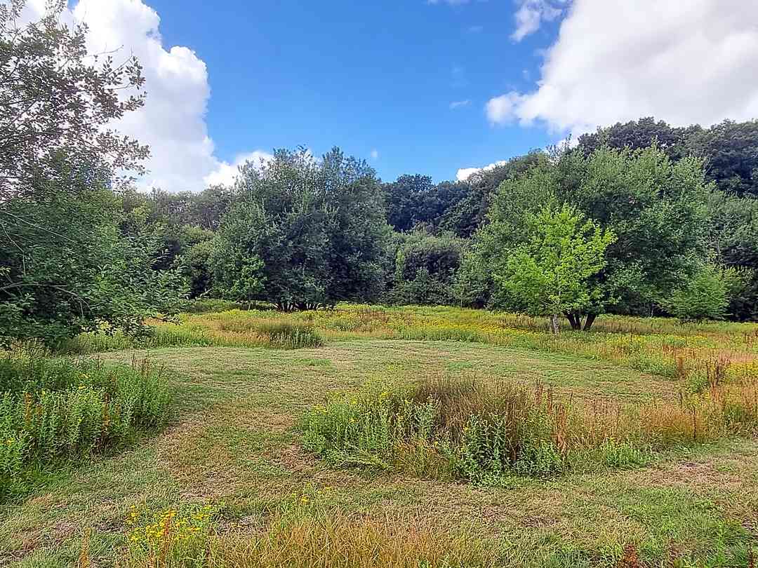 Peacocks Farm Campsite (bilde lagt til av leder den 08/13/2025)