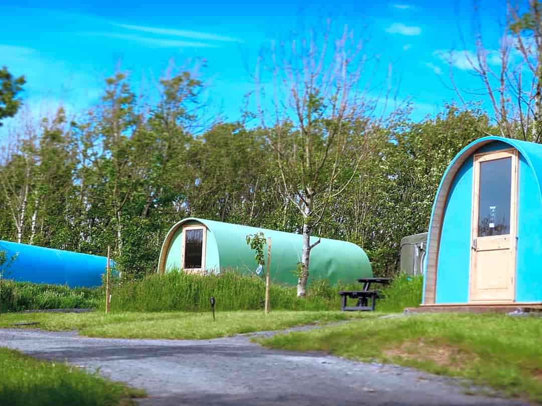 West Point Woods: Eco pods
