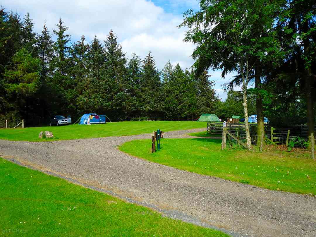Ullswater Holiday Park: Pitch field (photo added by manager on 11/05/2019)