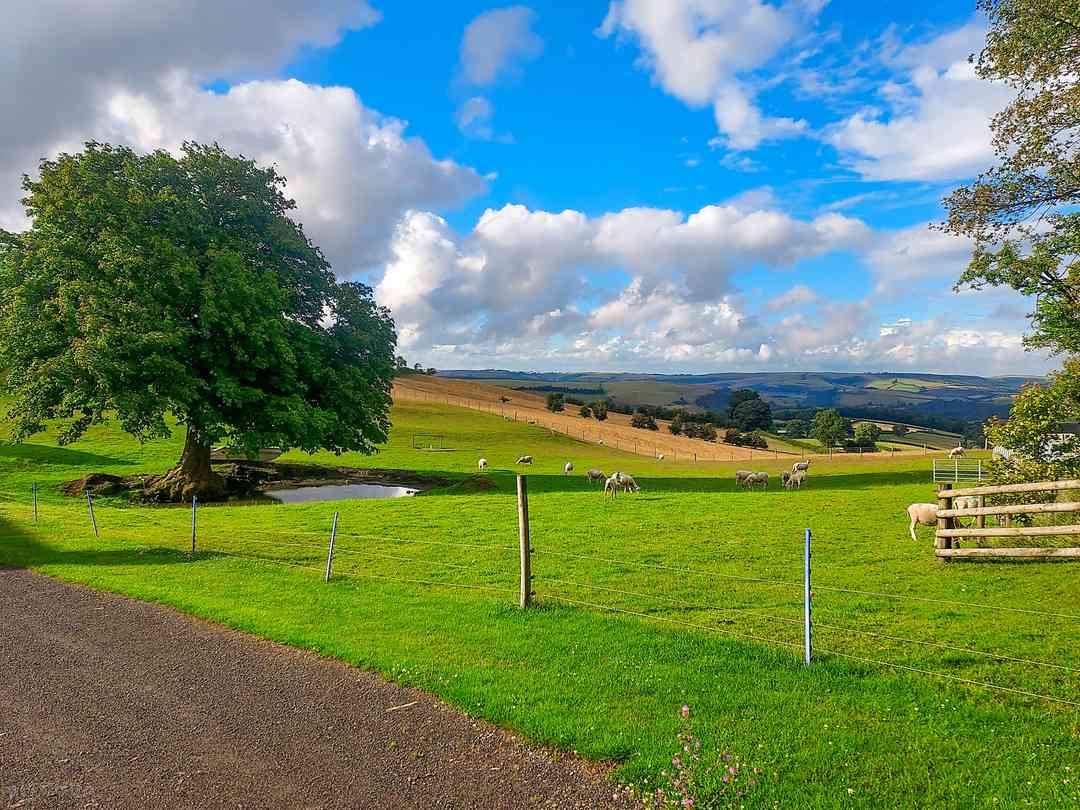 Buckhall Farm: View to the north east (photo added by manager on 17/08/2023)