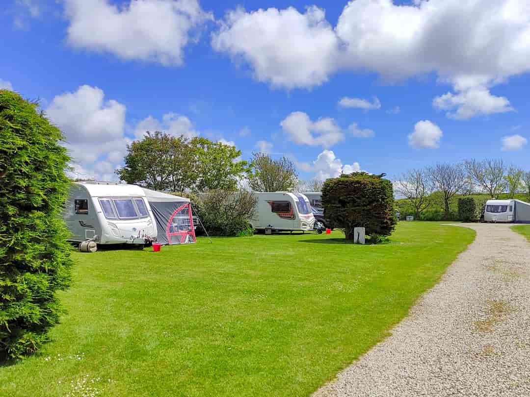 Cardinney Caravan and Camping Park: Electric grass pitch