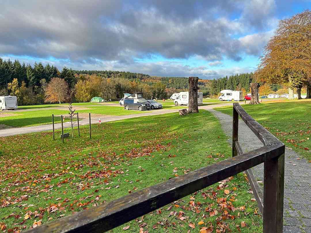 Bracelands Campsite: General site view