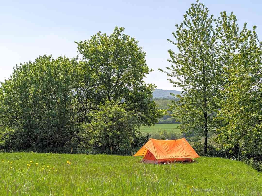 Warminghurst Camping: Plenty of space on the Cherry Tree pitch (photo added by manager on 24/07/2021)