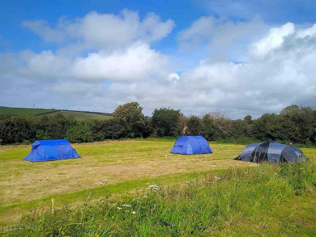 Proper Camping: Cornwall campijg