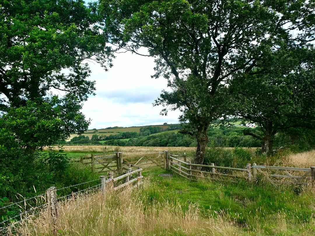 Milkmaid Meadow Campsite: Views from the site