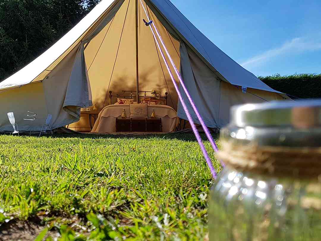 Roe Deer Fields: Outside the tent