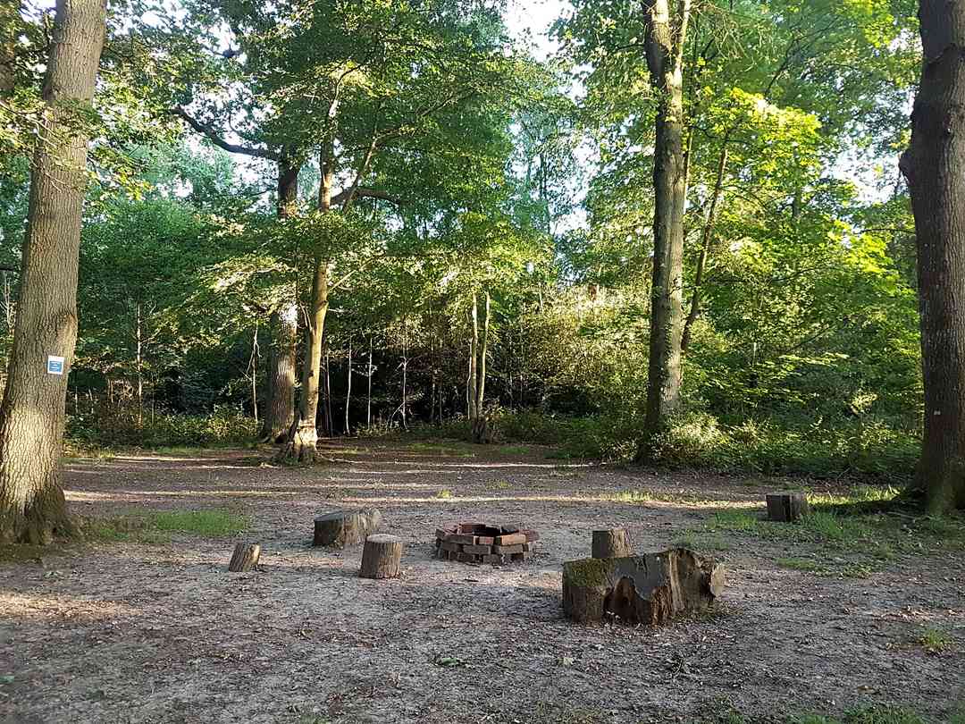 Evergreen Farm Woodland Campsite East Grinstead Updated 2020