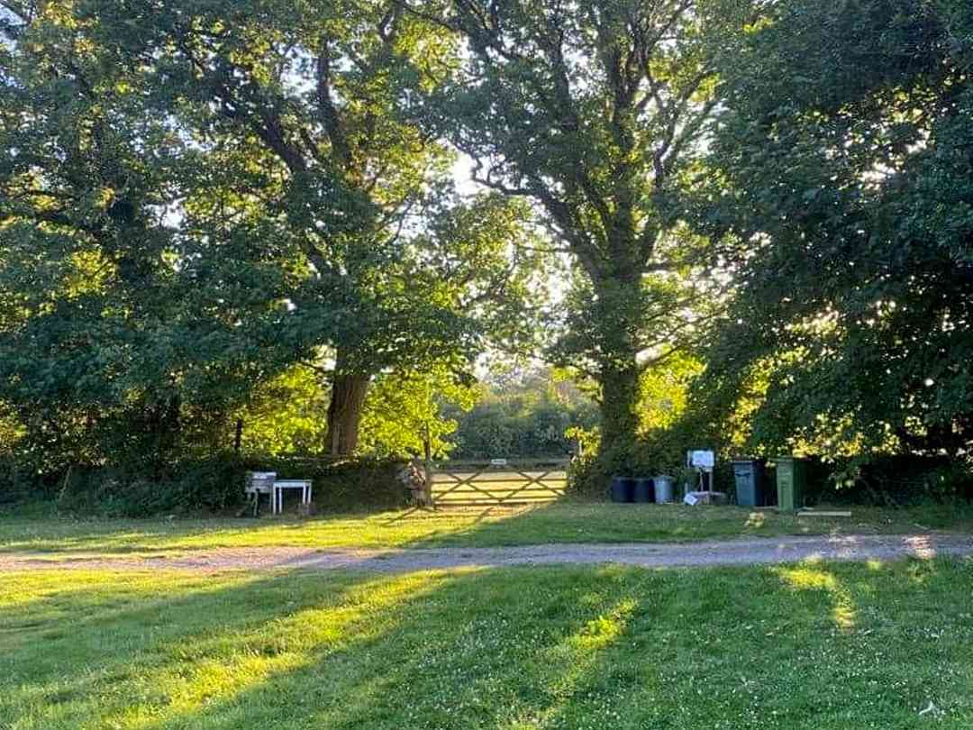Five Wyches Farm Camping: Non-electric grass pitch (photo added by manager on 14/07/2023)