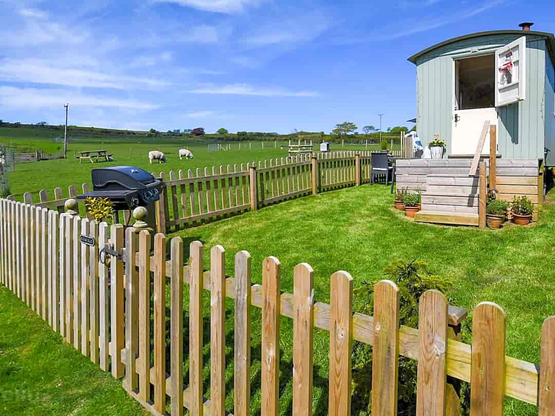 Benton View Shepherd's Hut: Shepherd's hut in your own enclosed area, with barbecue and seating area