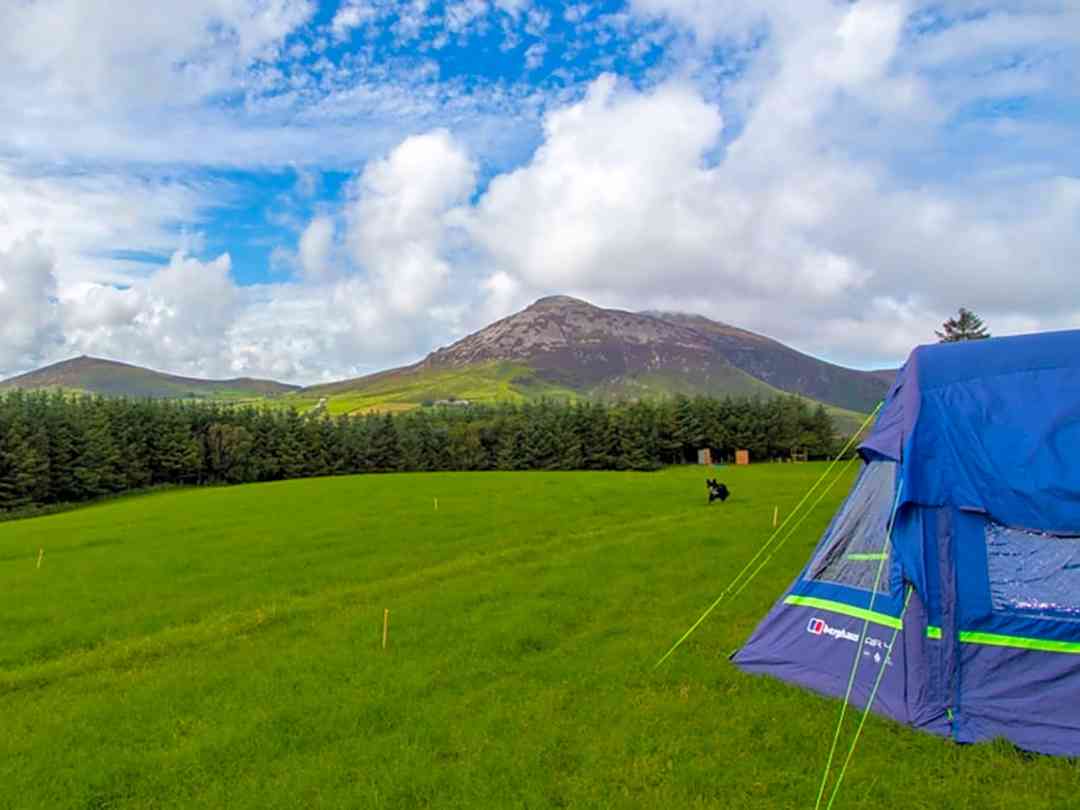 Penllechog Camping (фото добавлено менеджером 10.08.2021)