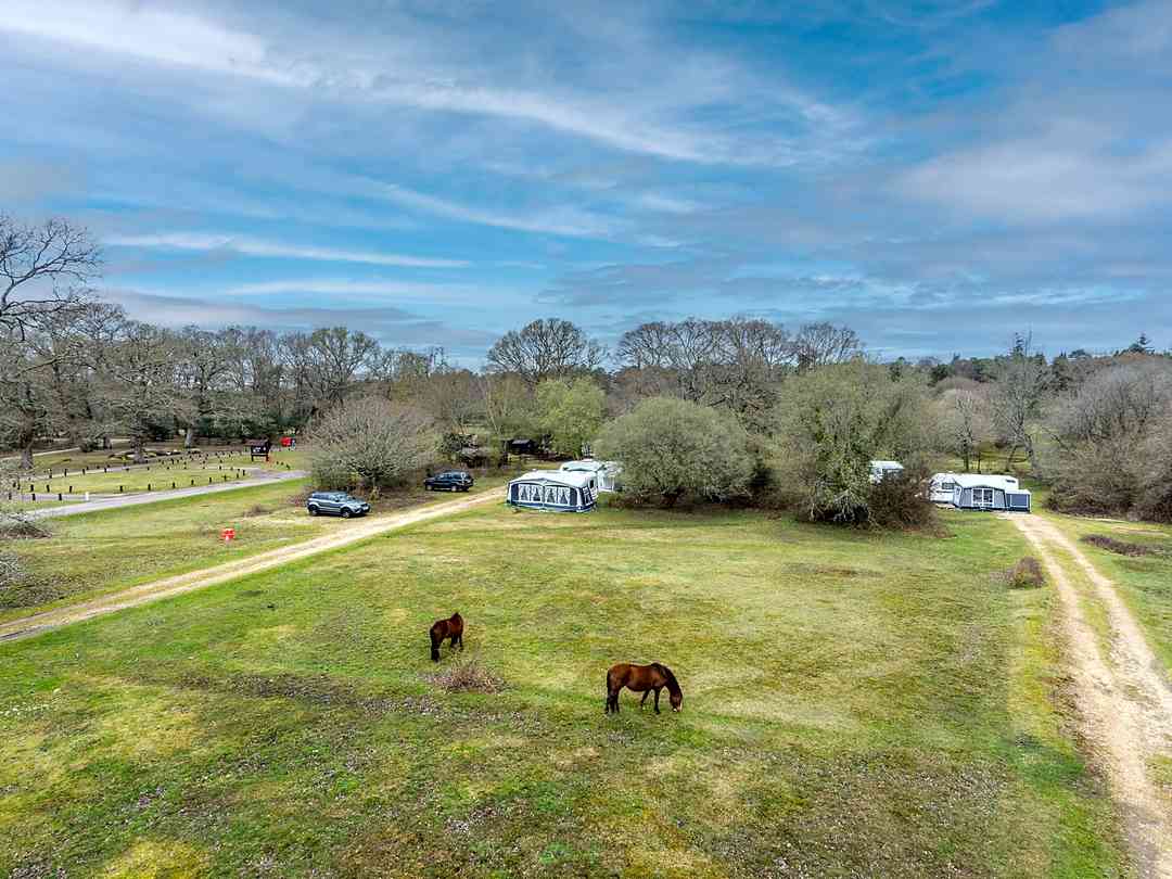 Ashurst Caravan and Camping Site: Ashurst (photo added by manager on 15/01/2025)