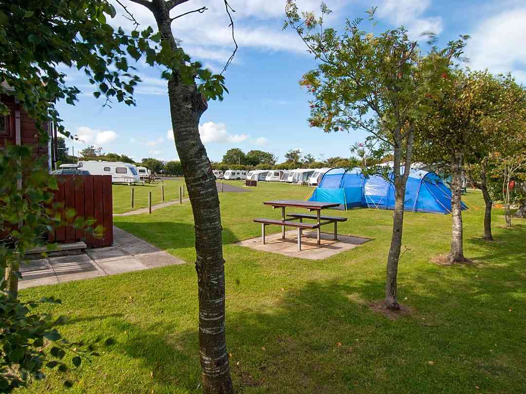 Plas Uchaf Touring and Camping Park (фото добавлено менеджером 01.08.2023)