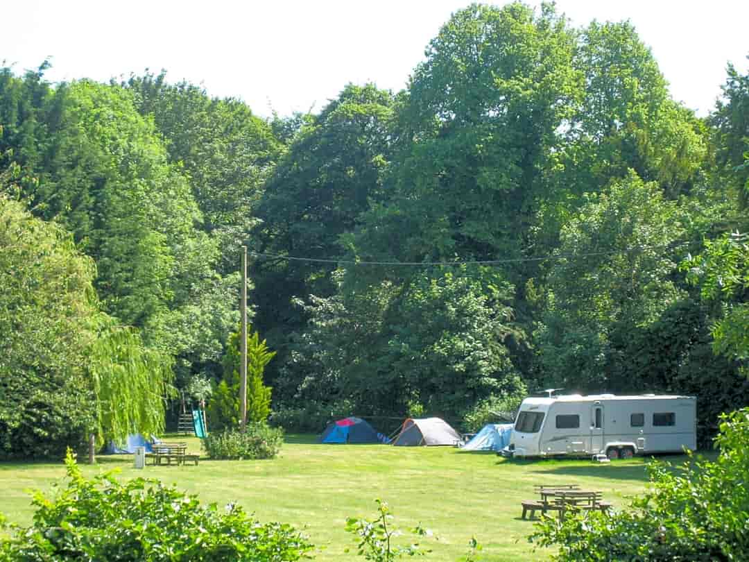 Folly Farm Caravan and Camping Park: Trees surrounding the pitches