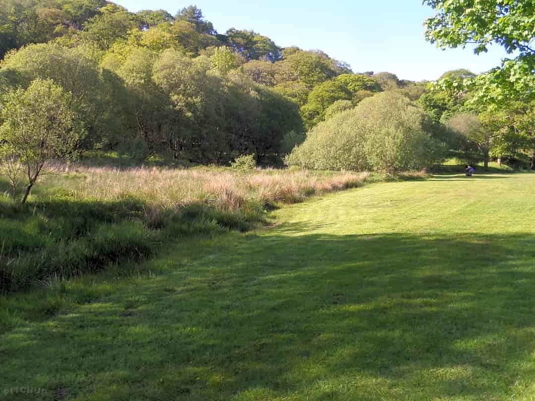 Seatoller Farm: Deer, woodpeckers, red squirrels and more wildlife can be seen around the area