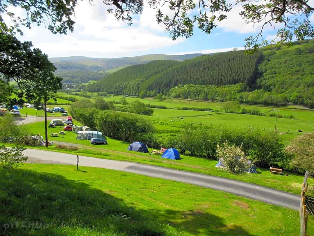 Gwerniago Campsite: Non-electric pitches