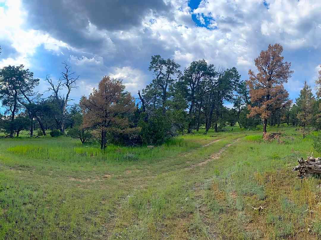 Mujeres Valley Campground: Main campground parking area