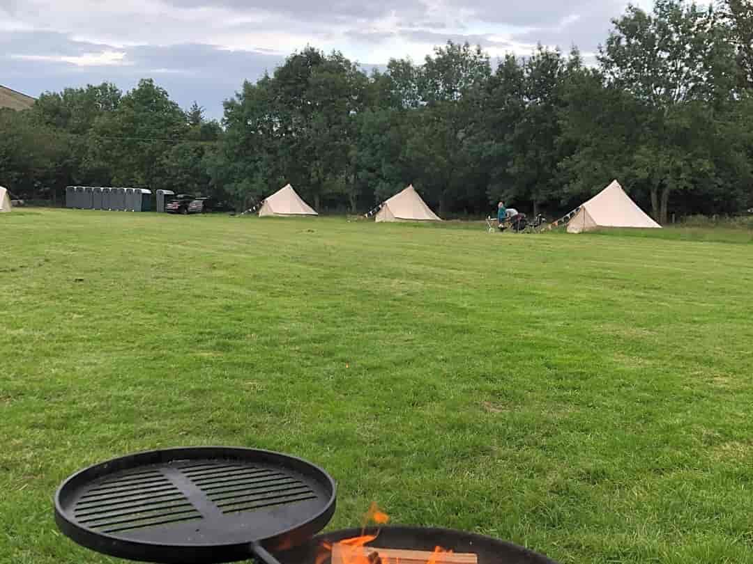 Newfold Farm: The bell tent field