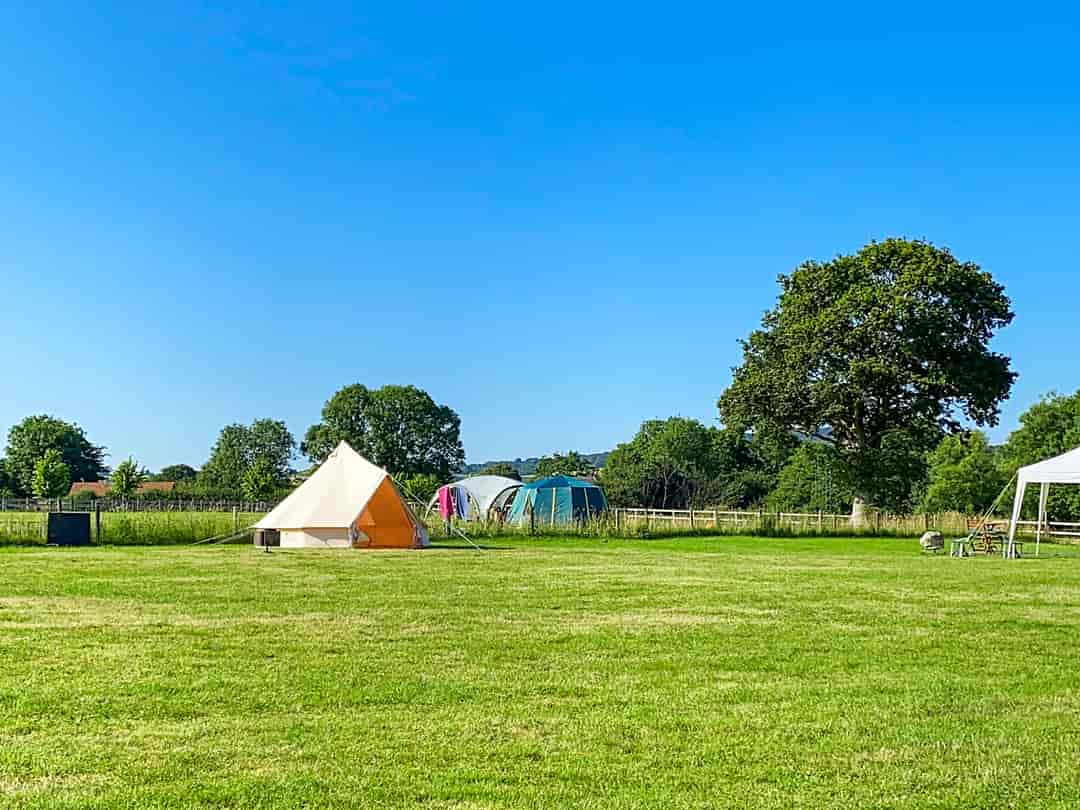 Pilsdon View Camping: Summer