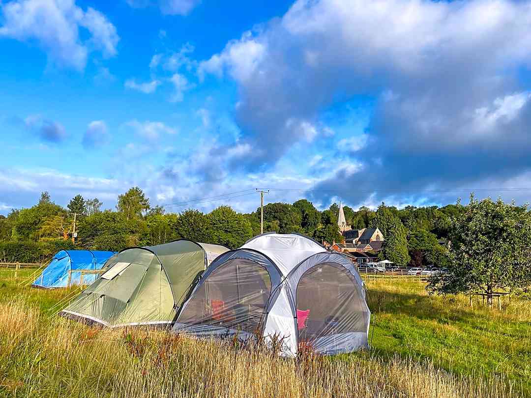 New Farm (foto adicionada pelo gerente em 31/10/2025)