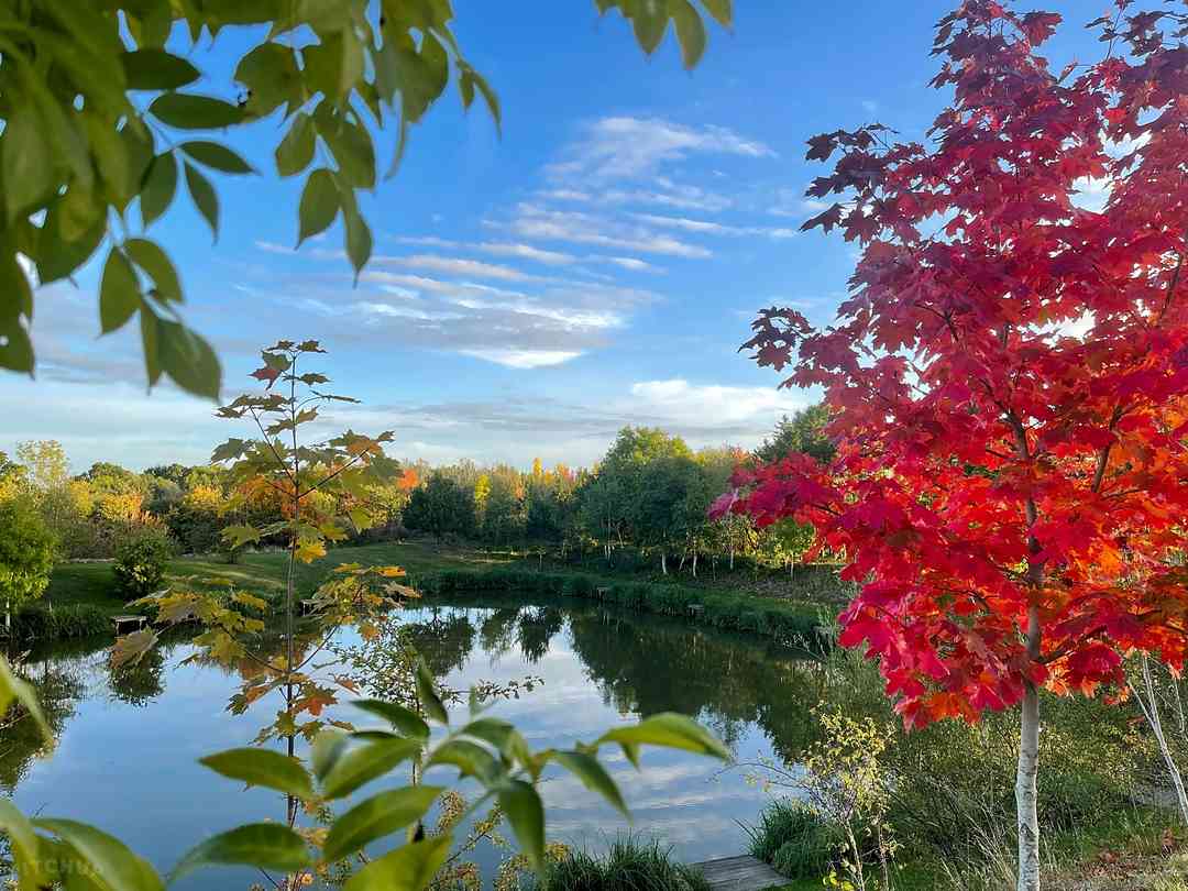 Arden Lakes Camping: View of one of the six lakes (photo added by manager on 11/06/2023)