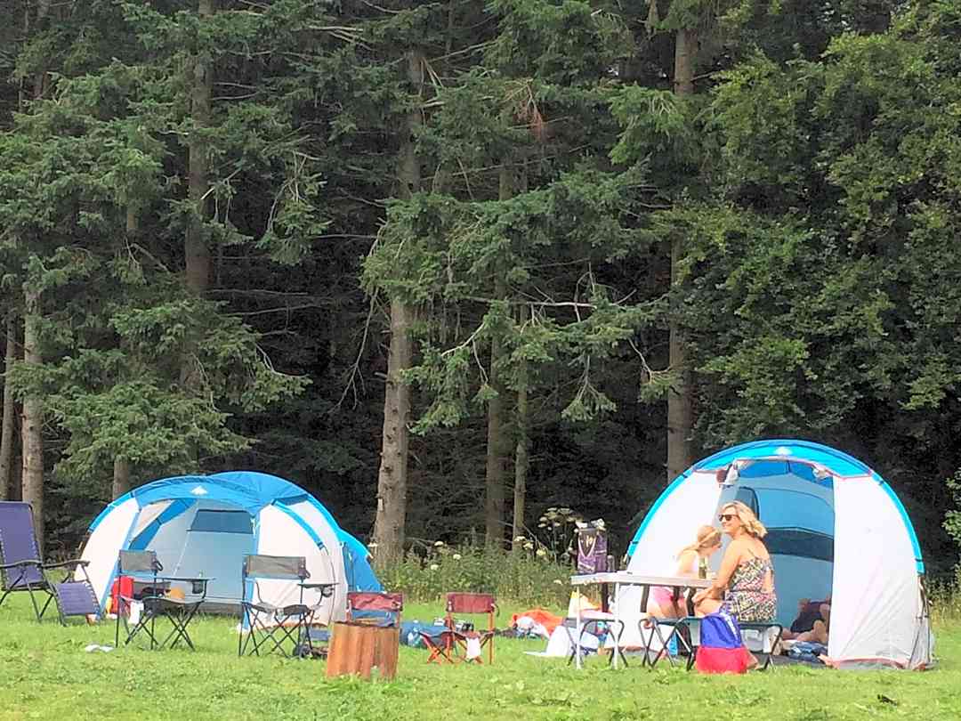 Oaklands Campsite And Fishery Church Stretton Updated 2022 Prices Pitchup