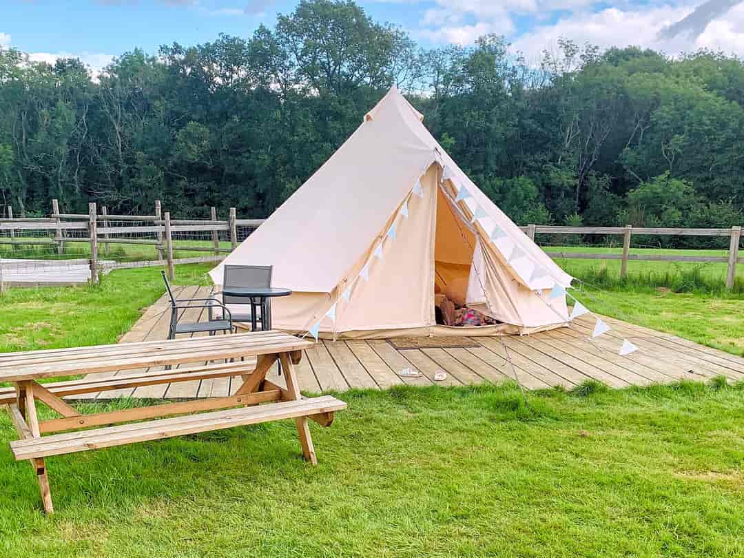 Woodland Farm Glamping: Visitor image of the bell tent (photo added by manager on 09/09/2022)