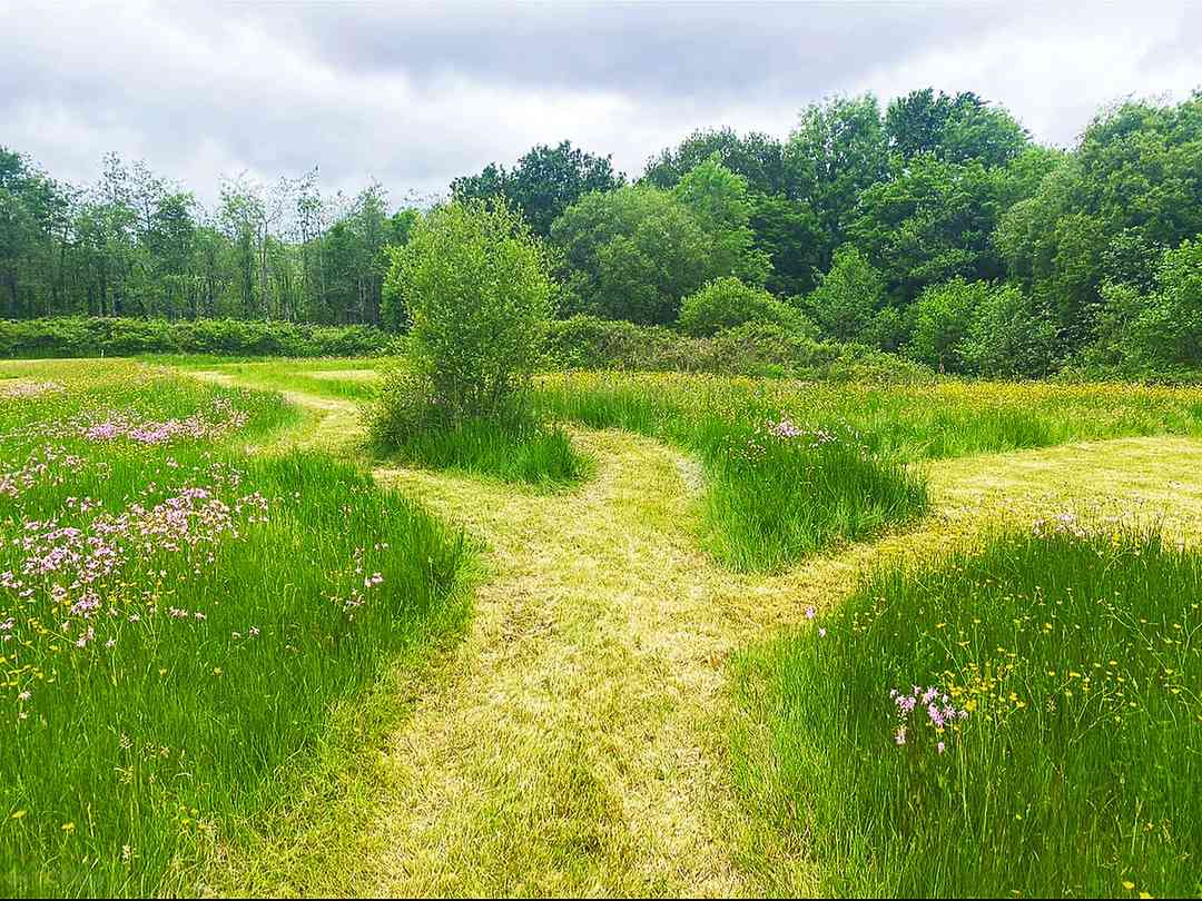 Tireithin Meadow Camping Retreat (photo ajoutée par le gestionnaire)
