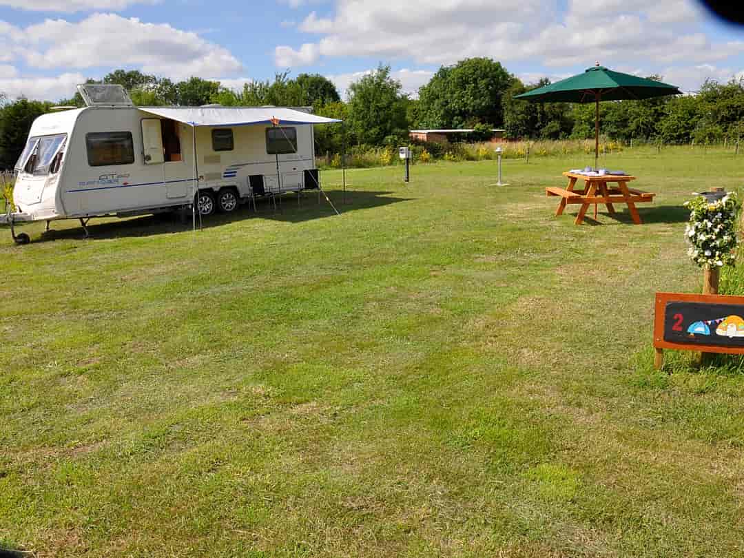 Springfield Farm Campsite: Supersized pitch
