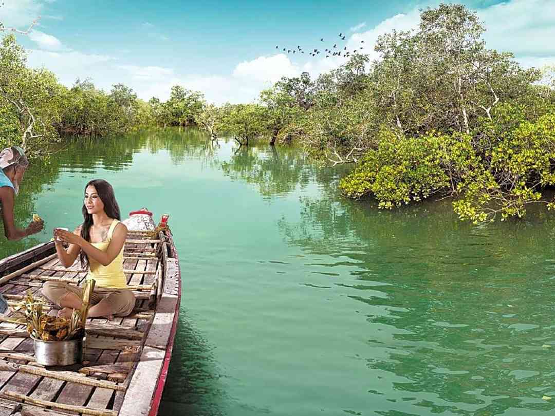Best Jungle Trip Destinations In India 4 Sundarban Tourism