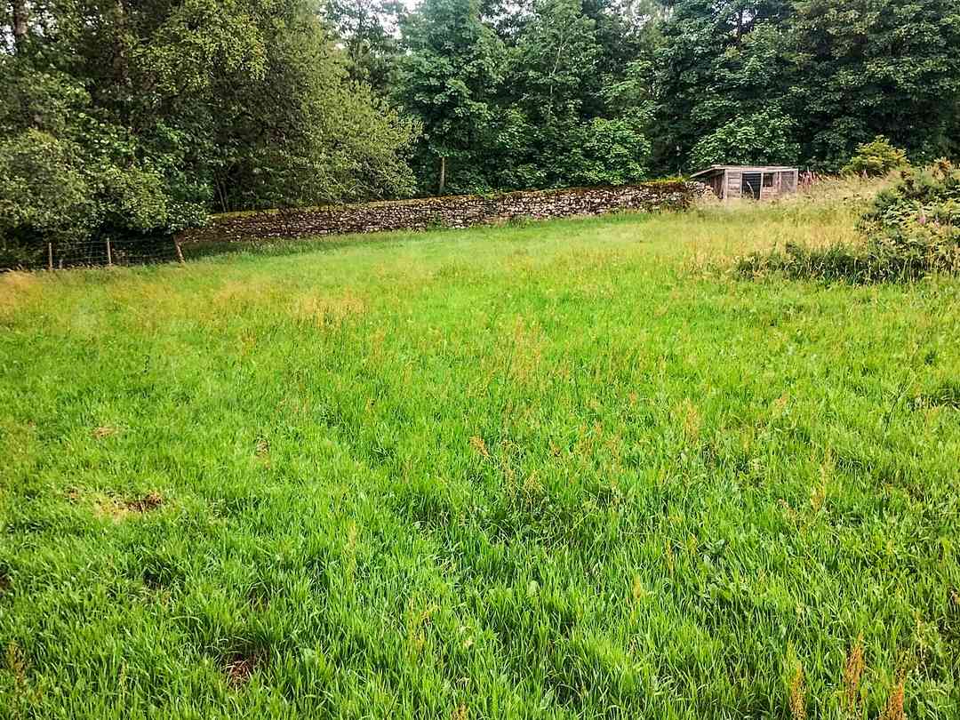 One of the flat areas to pitch in (photo added by manager on 31/07/2025) Highfield Campsite: One of the flat areas to pitch in (photo added by manager on 31/07/2025)