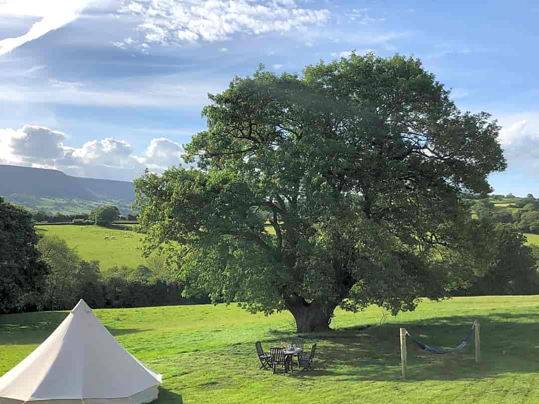 Grove Farm Glamping: Hammock, seating area and cooking area with a firepit and gas hob