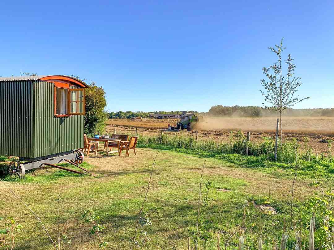 Sindles Farm: The Sussex Hut with the combine harvester doing its thing in the field (photo added by manager on 29/09/2022)