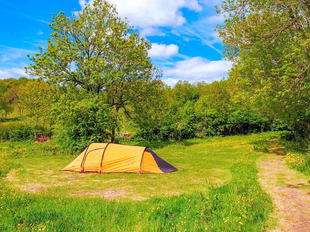 Quarry Lodge Camping: Meadow camping