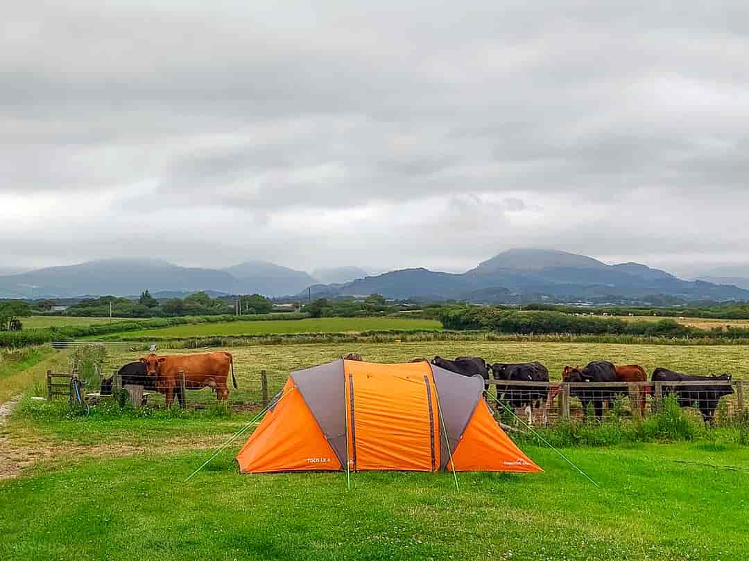 Cumblands Farm Caravan Site: Pitches with views (photo added by manager on 27/09/2022)
