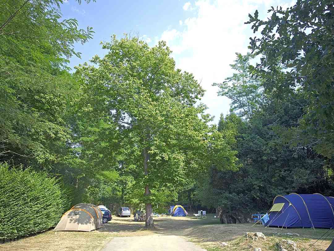 Encuentra Campings Baratos Para Tiendas En Cantabria Espana