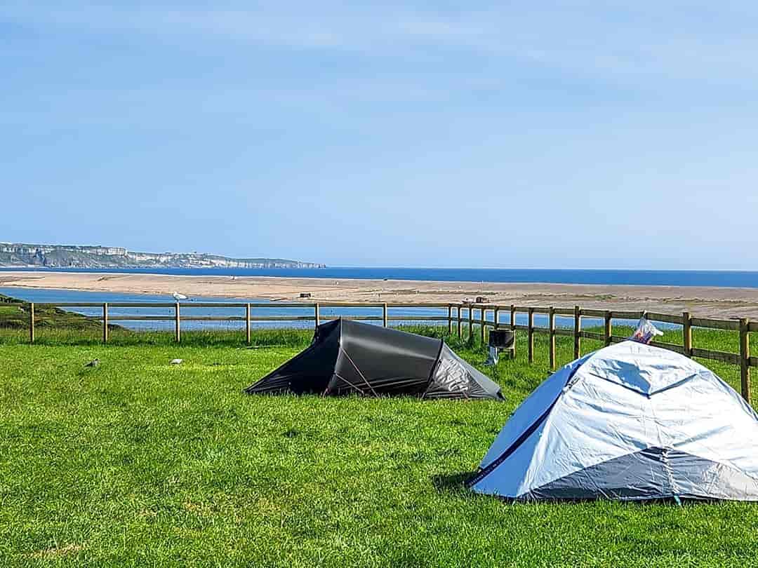 Martleaves Farm Campsite: Tent pitches on the grass (photo added by manager on 26/07/2023)