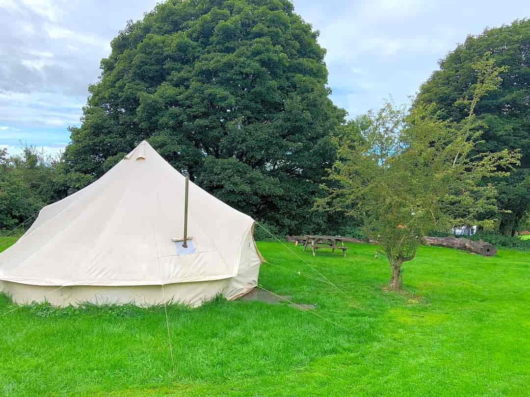 Sleepy Hollow Farm: Our lovely bell tent, clean tidy and the added bonus of a log burner!