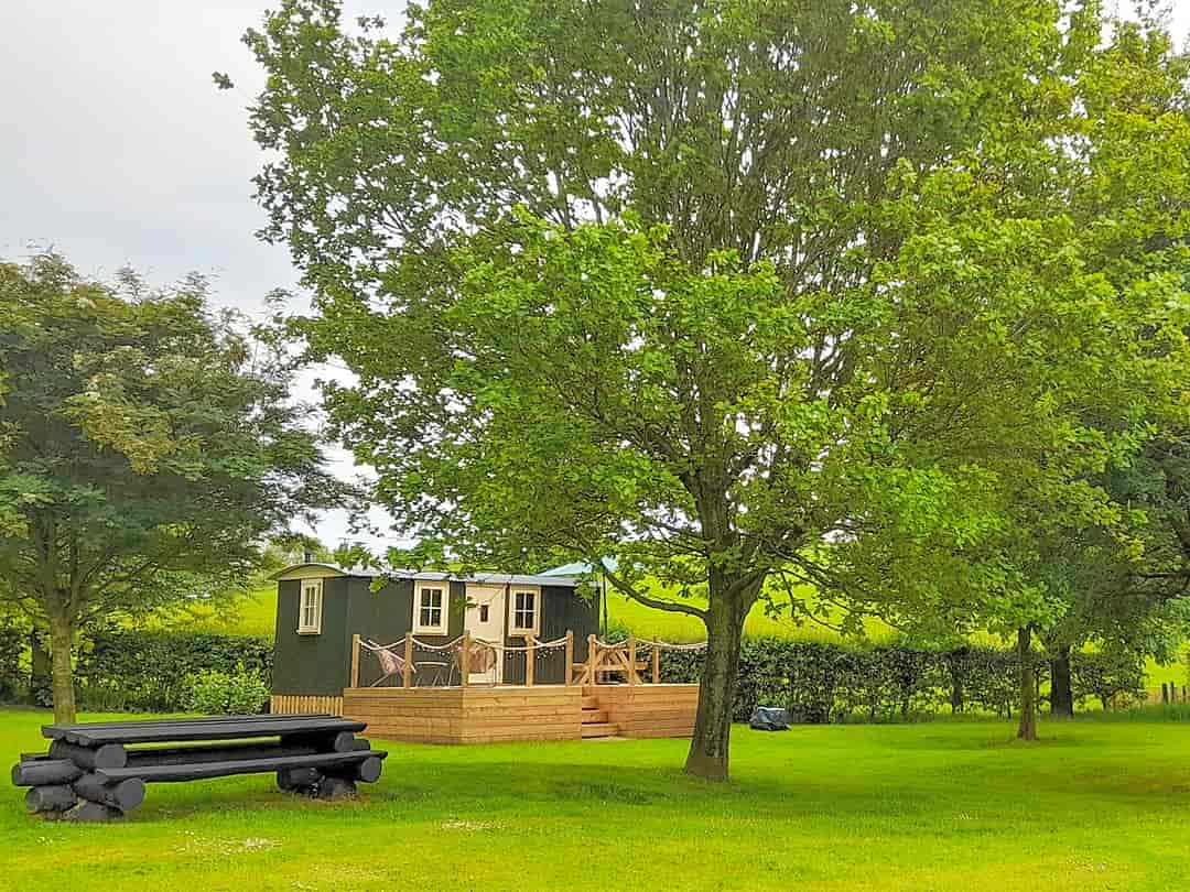 Otter Moss Accommodation: Visitor image of the meadow and shepherds hut